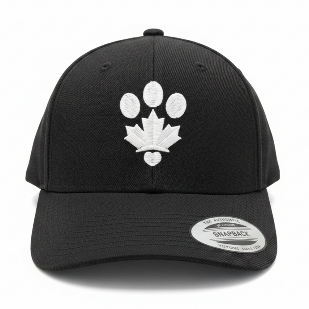 Black snapback hat on white background