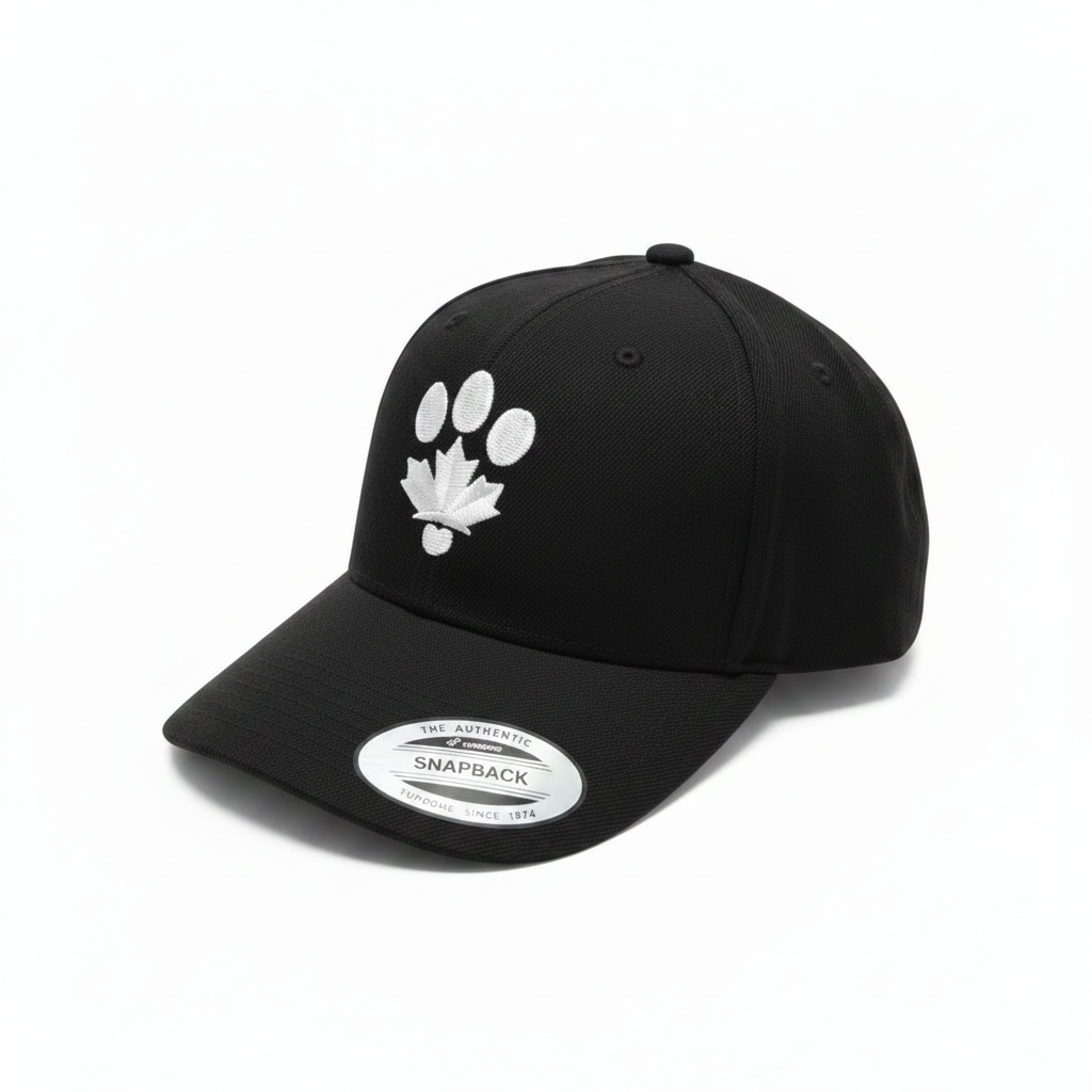 Black Snapback Reangled