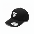Black Snapback Reangled