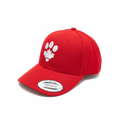 Red hat side on white