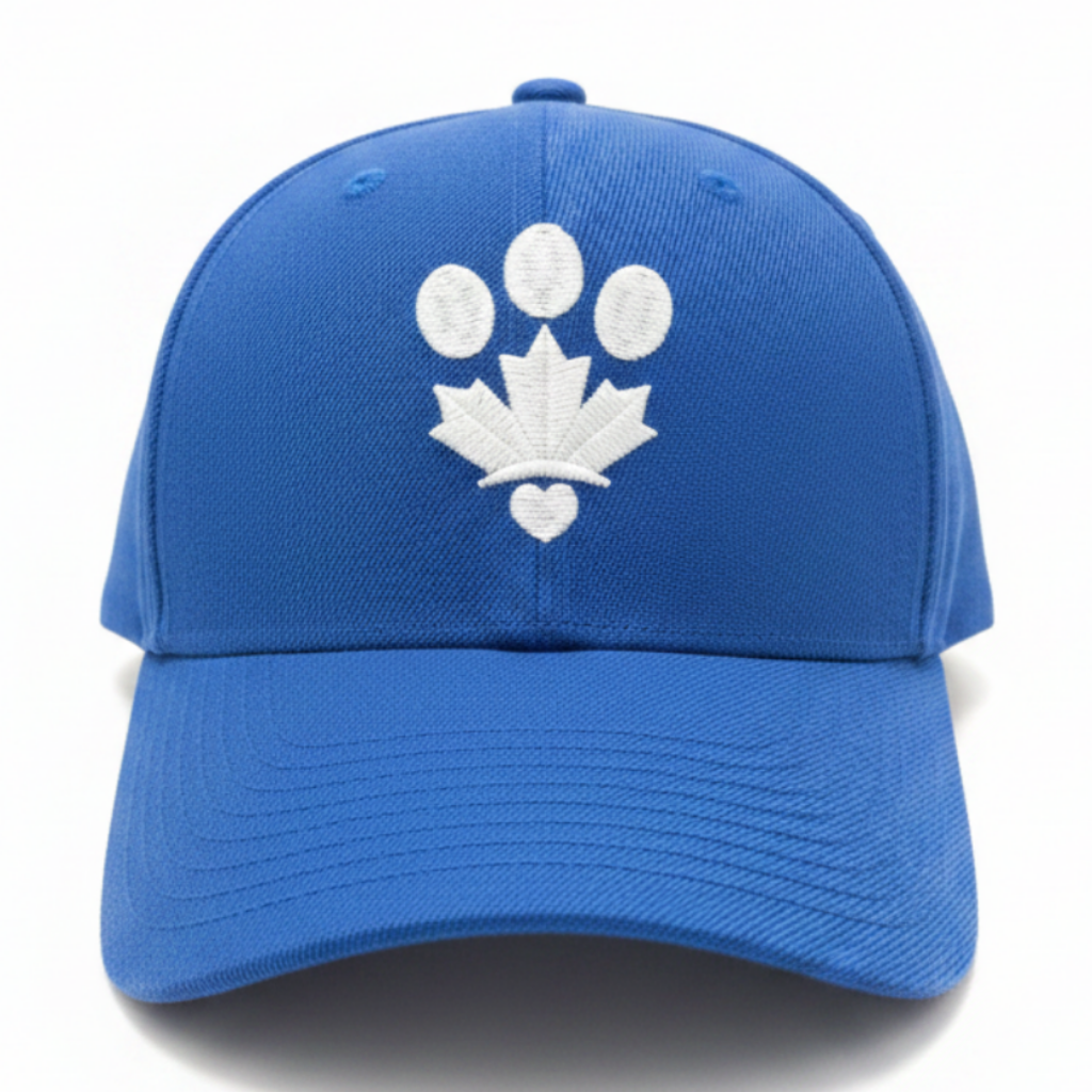 Royal blue front on white